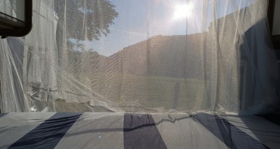 IMG_20260405_081942.jpg